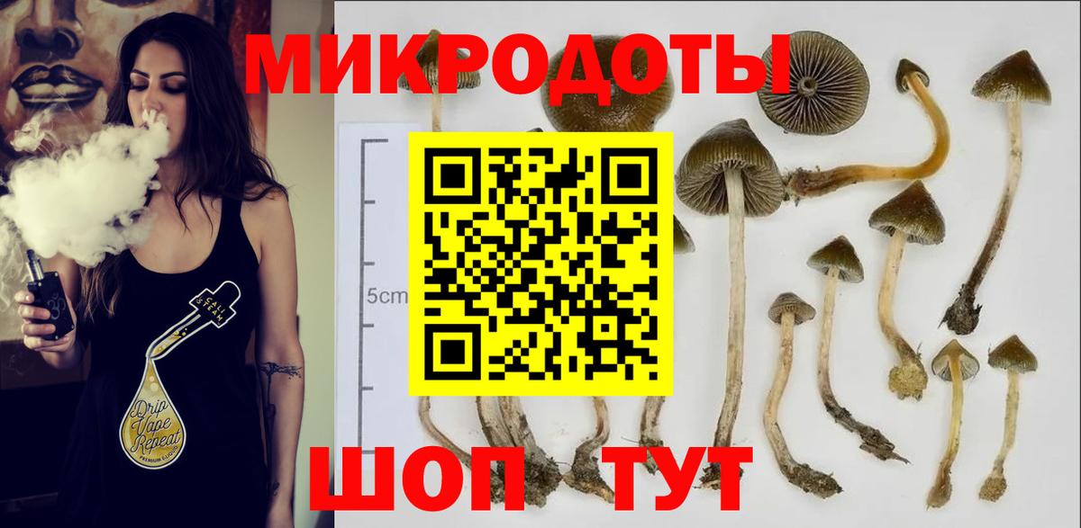 Галлюциногенные грибы Cubensis  Вход с VPN  Псилоцибиновые грибы Psilocybine cubensis  Можайск 